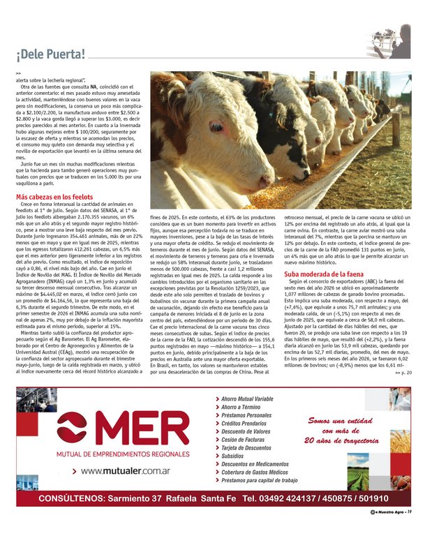 REVISTA NUESTRO AGRO JULIO 2026 N° 392 - página 19