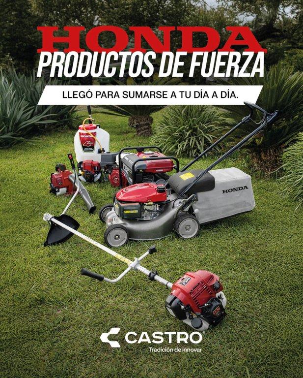 REVISTA NUESTRO AGRO SEPTIEMBRE 2026 N° 394 - página 32