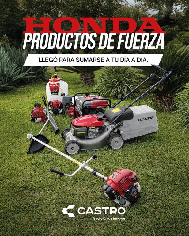 REVISTA NUESTRO AGRO OCTUBRE 2026 N° 395 - página 32
