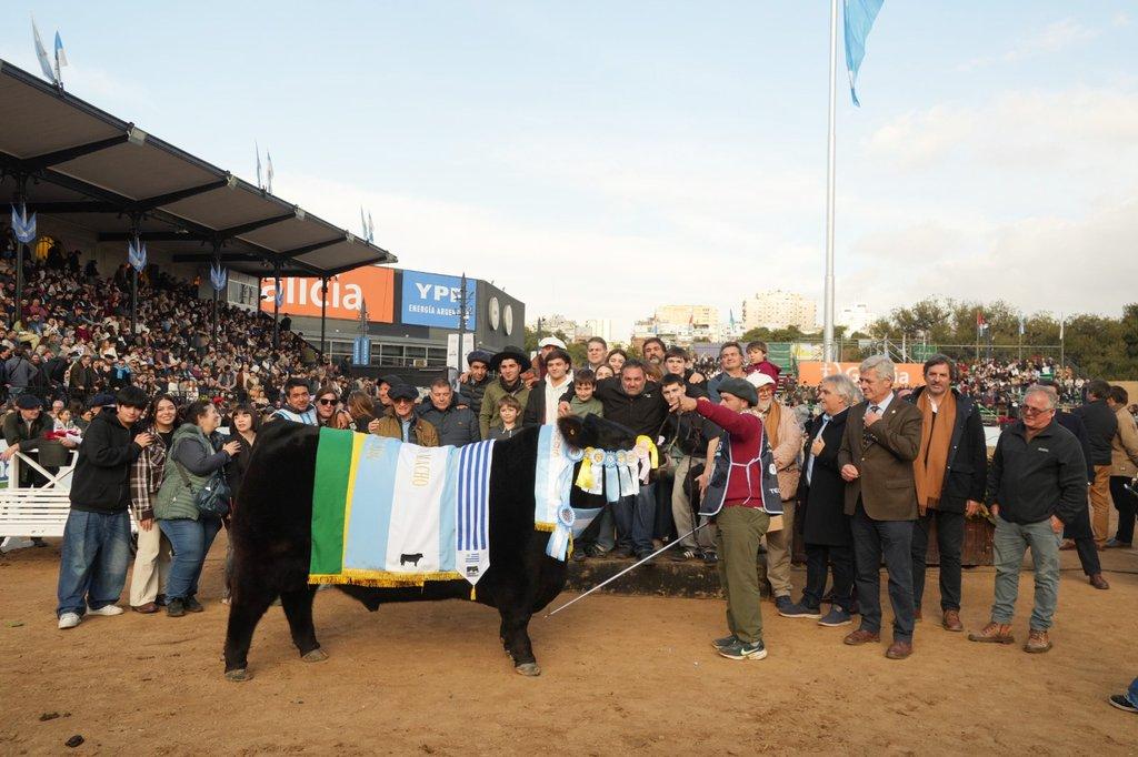 La cabaña Don José ganó el Gran Campeón Macho Angus de Palermo