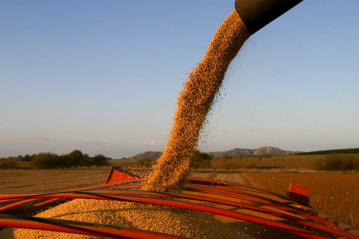 La competitividad agropecuaria sigue impactada por la carga impositiva elevada