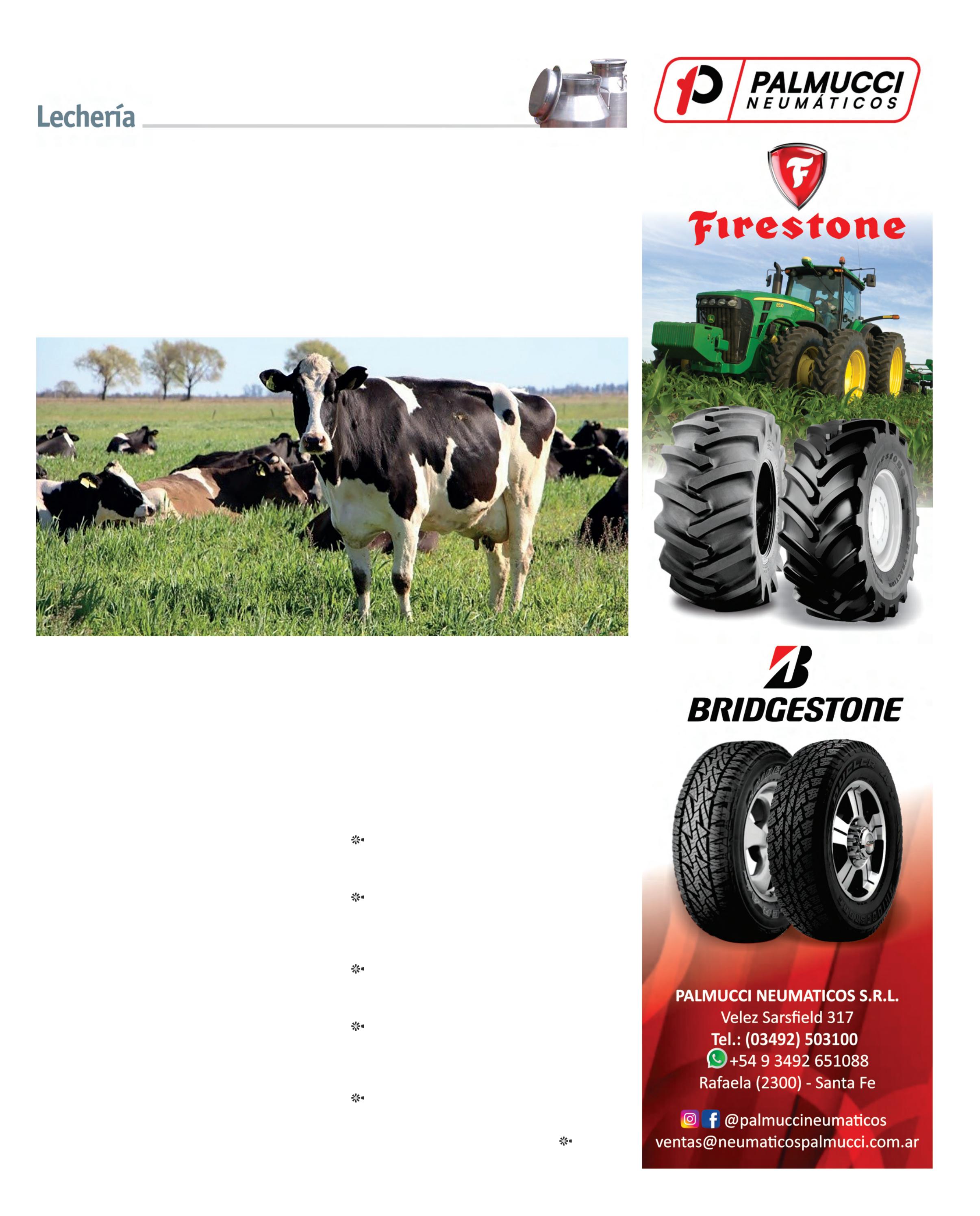 REVISTA NUESTRO AGRO ABRIL 2026 N° 389 - página 13