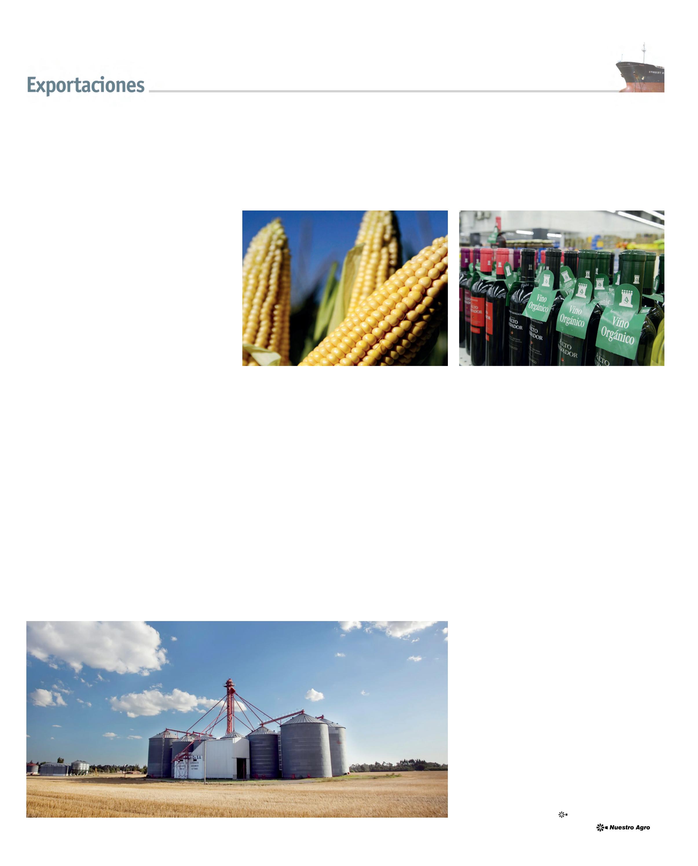 REVISTA NUESTRO AGRO ABRIL 2026 N° 389 - página 19