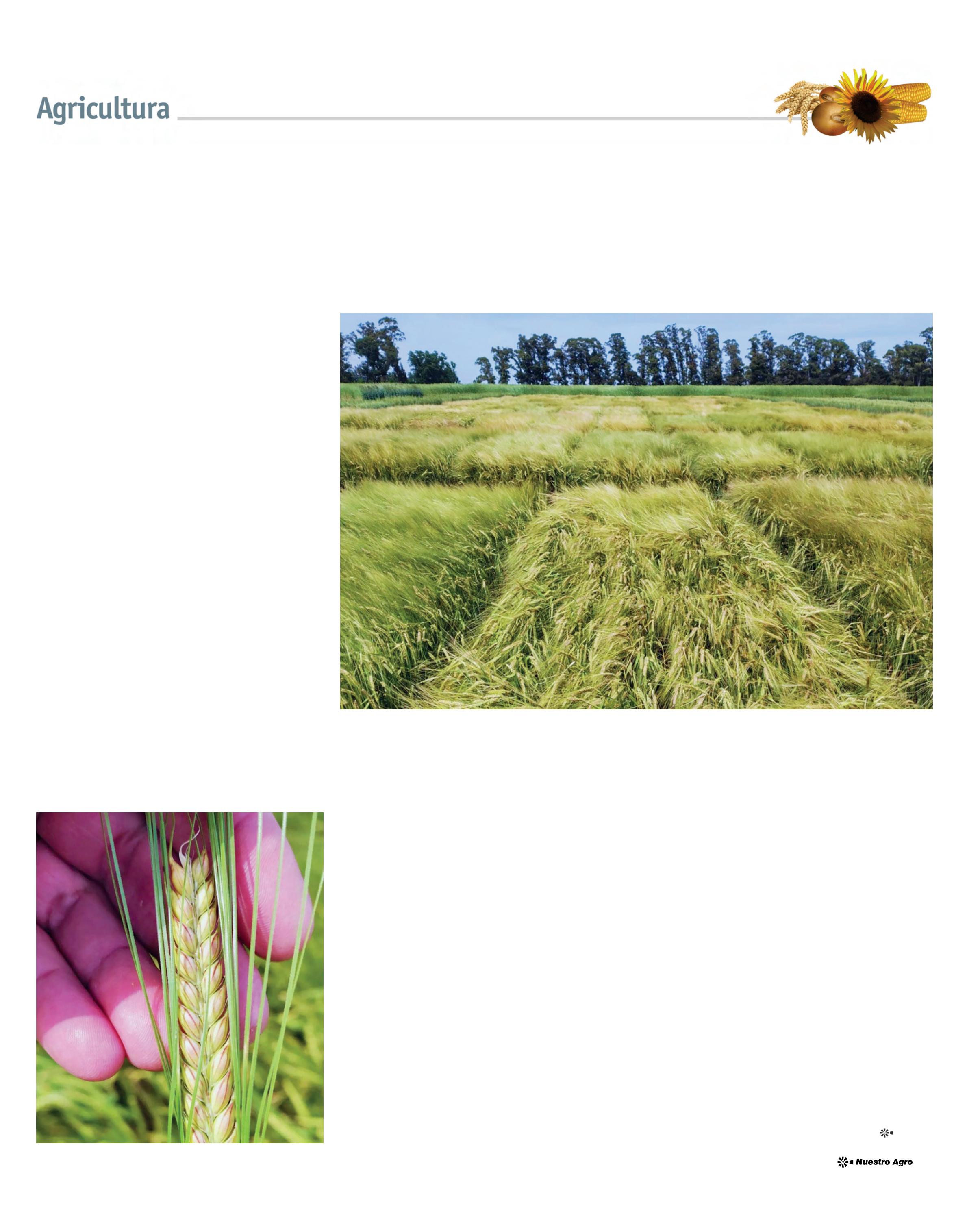 REVISTA NUESTRO AGRO ABRIL 2026 N° 389 - página 23