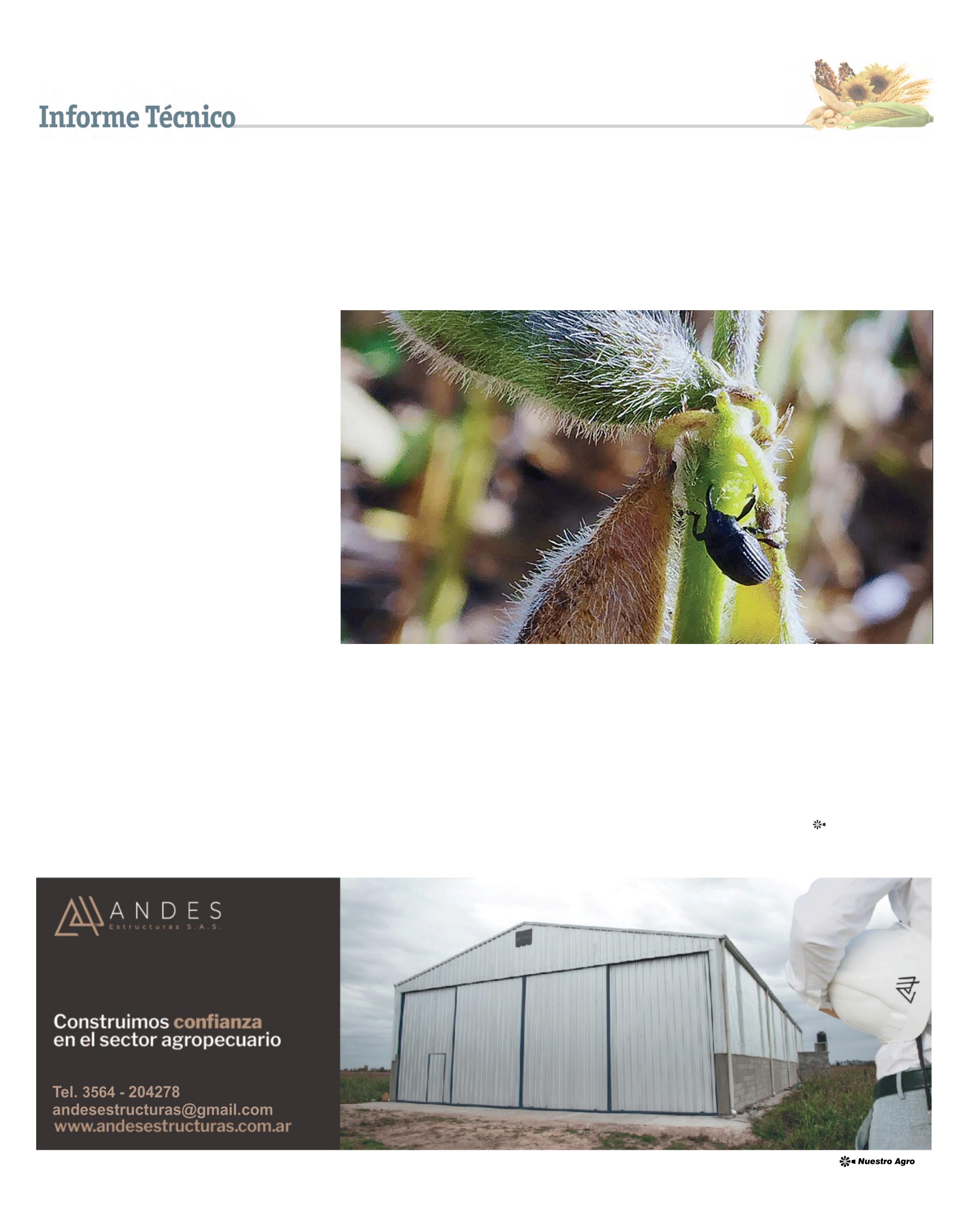 REVISTA NUESTRO AGRO ABRIL 2026 N° 389 - página 31