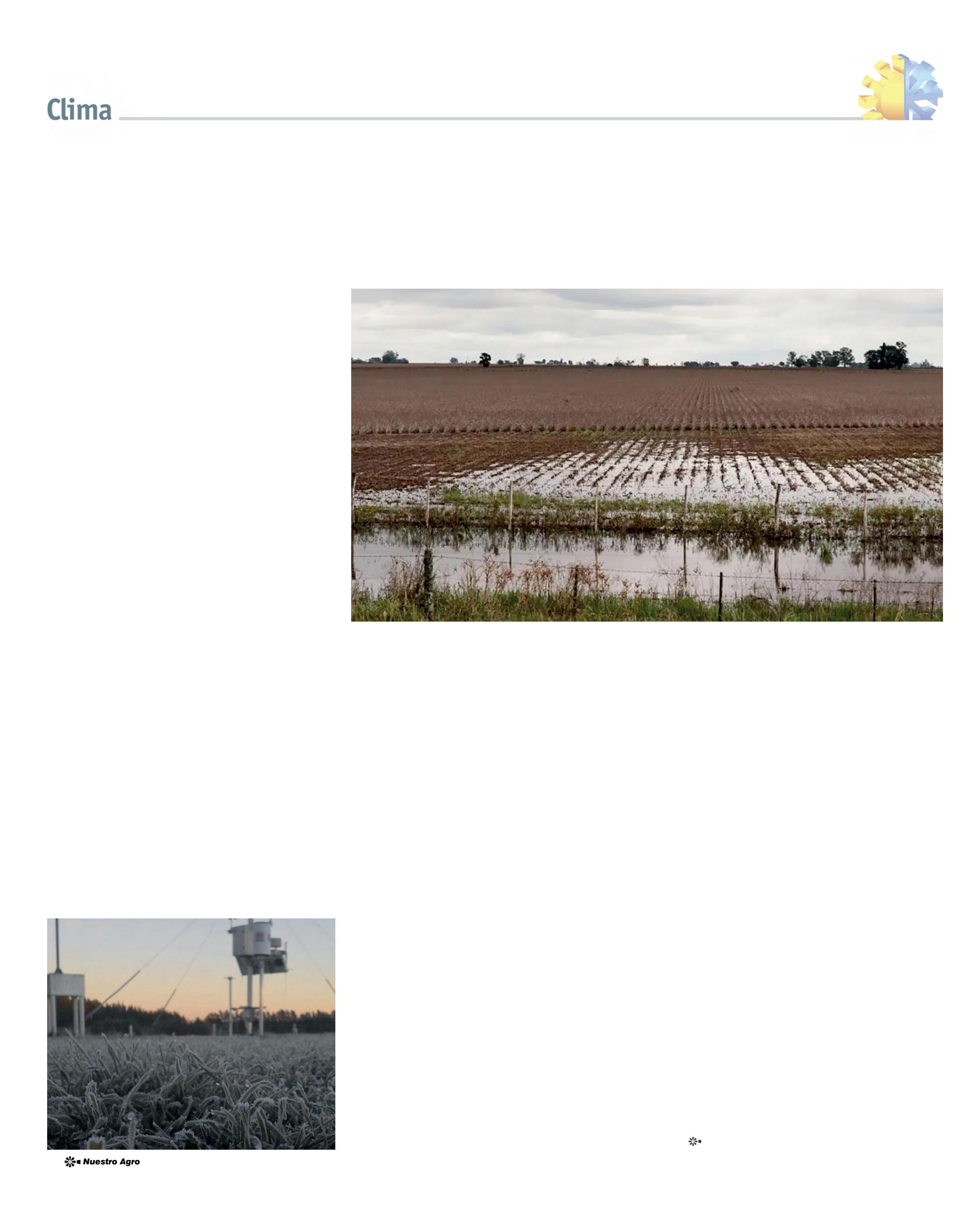 REVISTA NUESTRO AGRO ABRIL 2026 N° 389 - página 38
