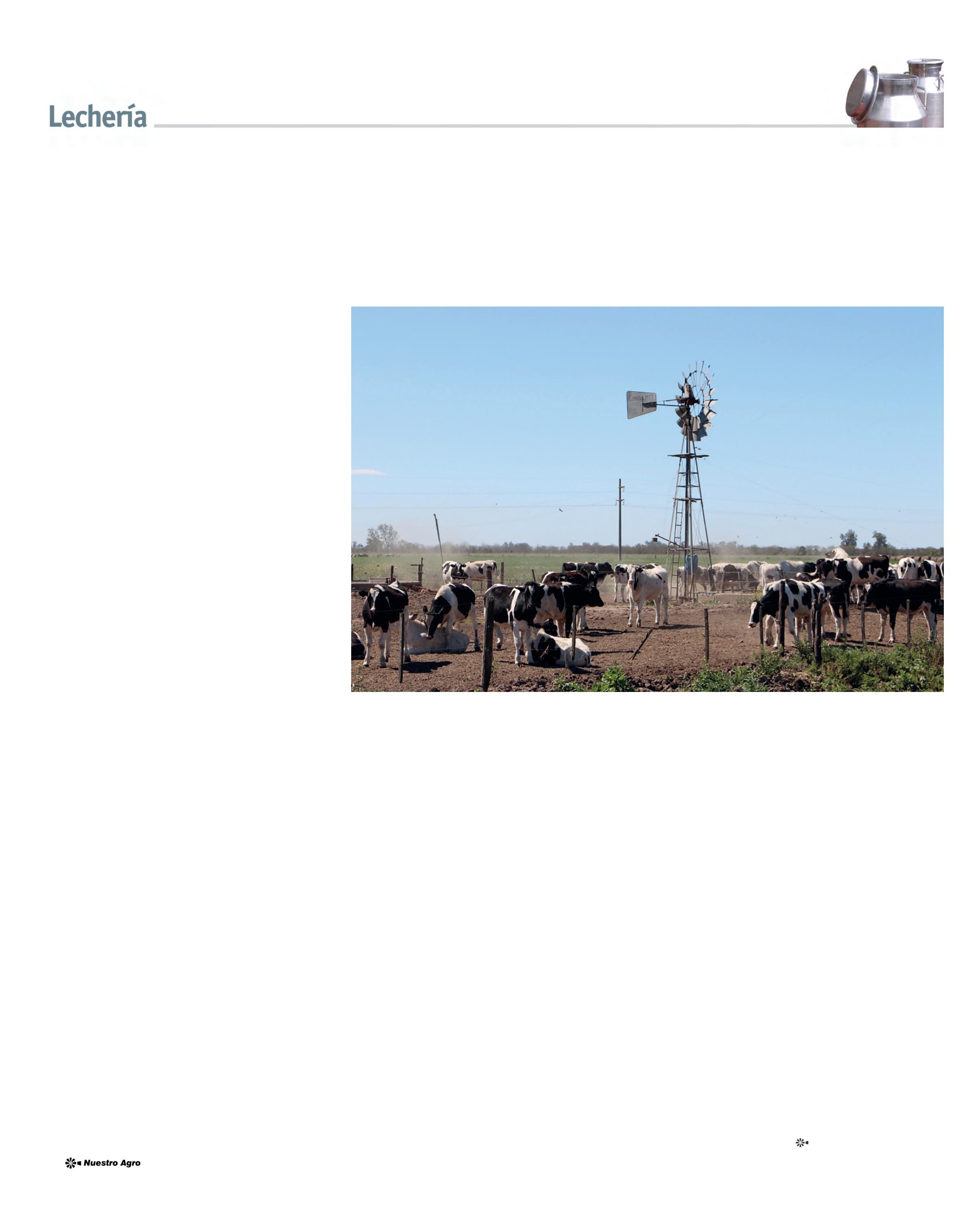 REVISTA NUESTRO AGRO FEBRERO 2026 N° 387 - página 12