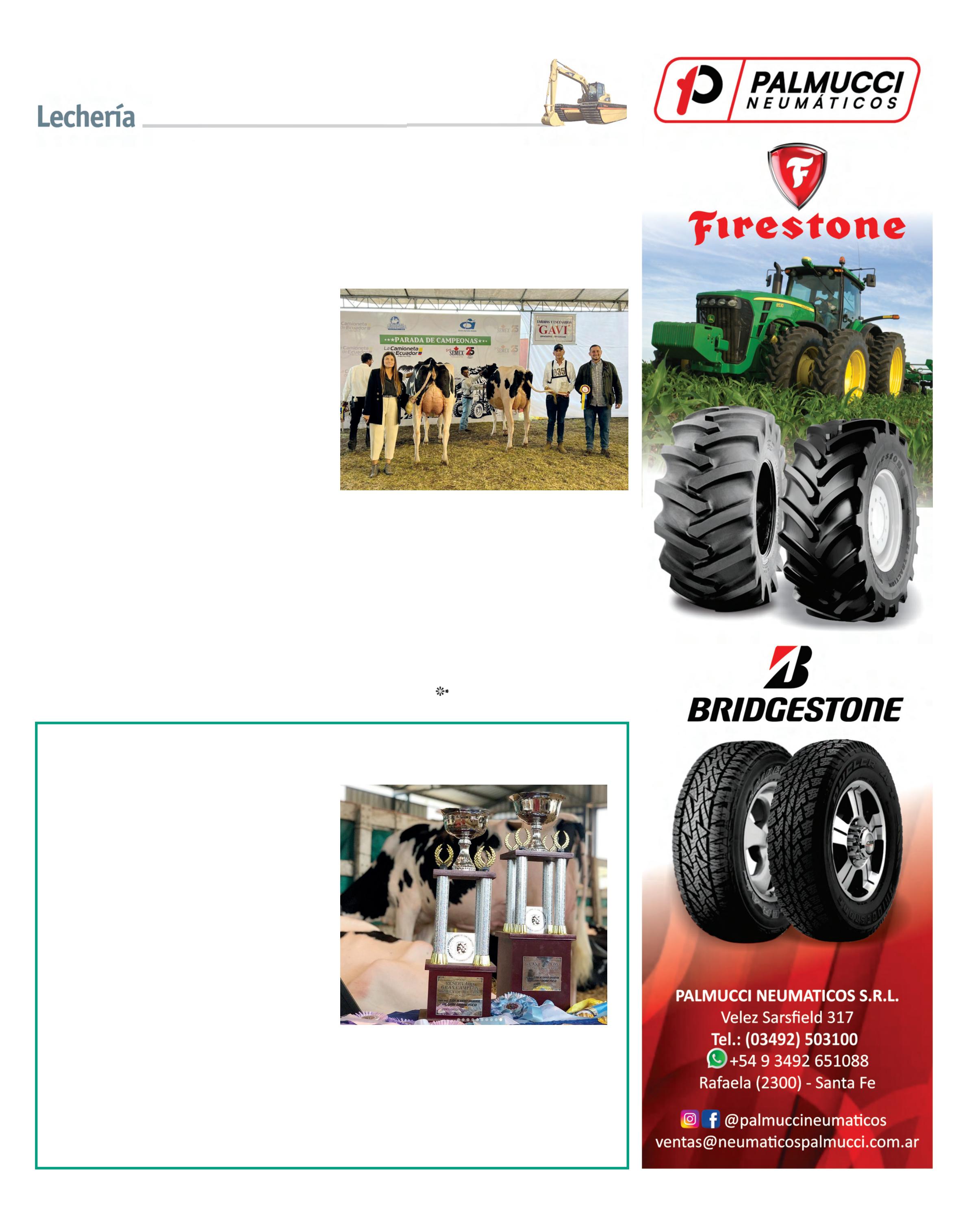 REVISTA NUESTRO AGRO FEBRERO 2026 N° 387 - página 13