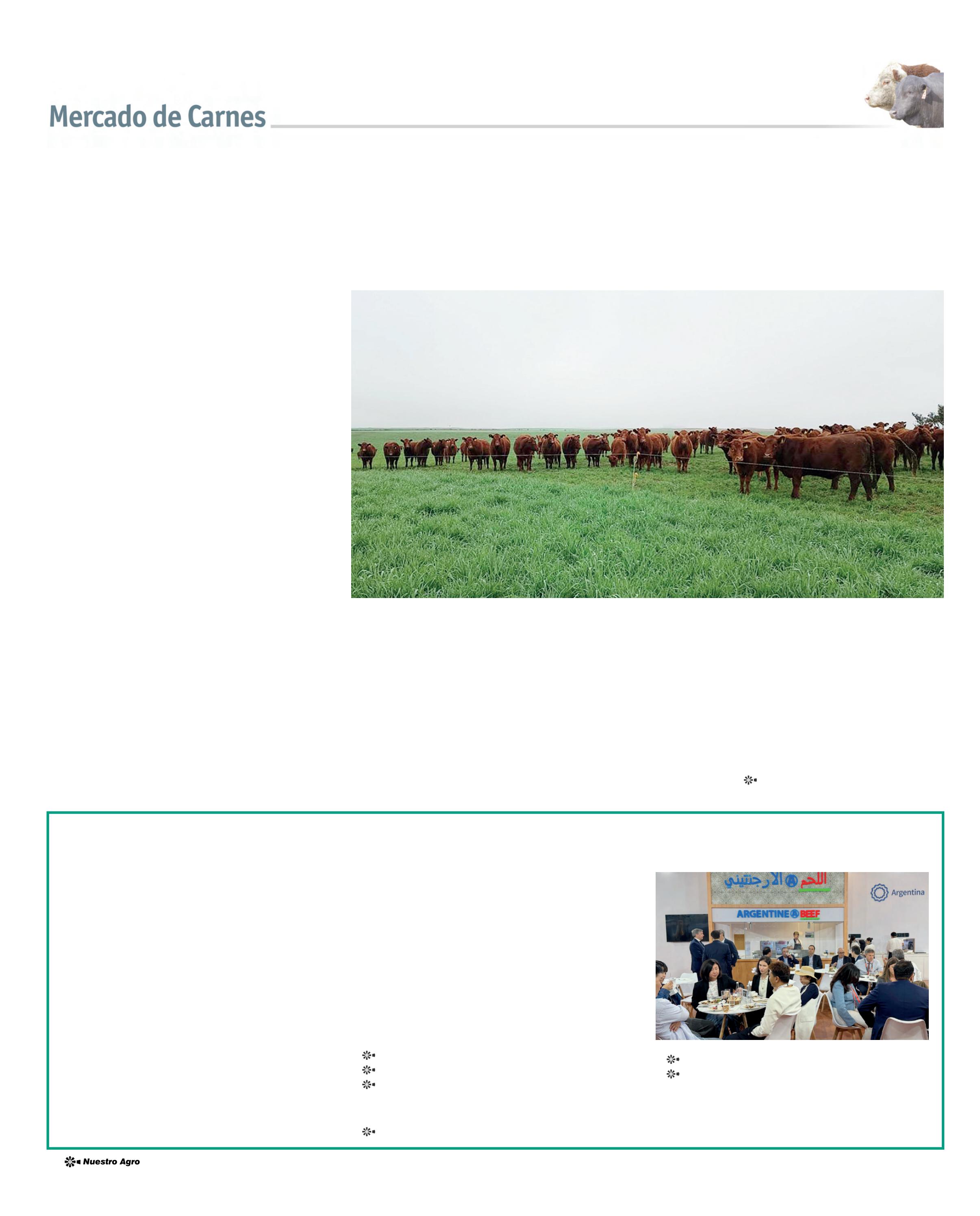 REVISTA NUESTRO AGRO FEBRERO 2026 N° 387 - página 16