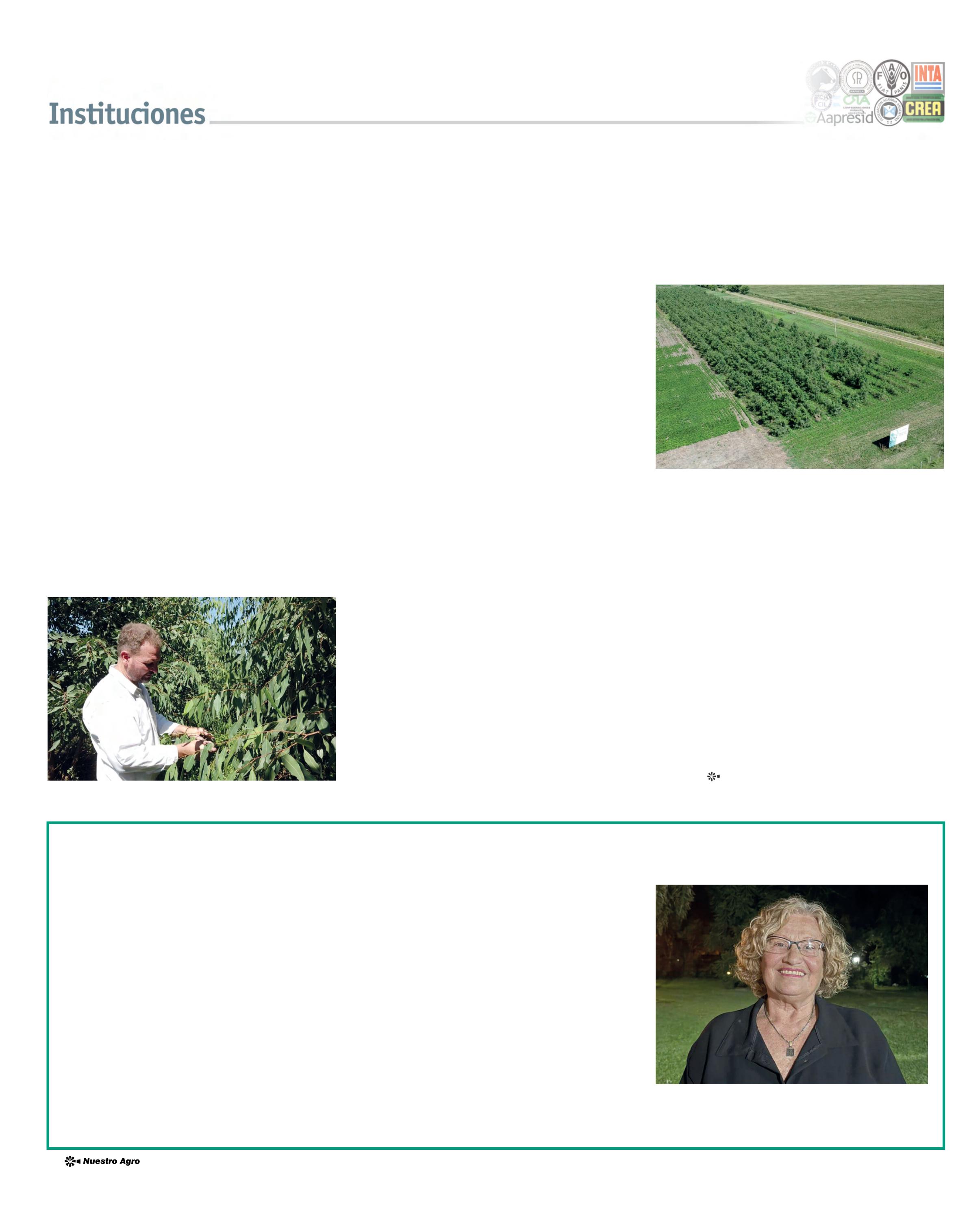 REVISTA NUESTRO AGRO FEBRERO 2026 N° 387 - página 22