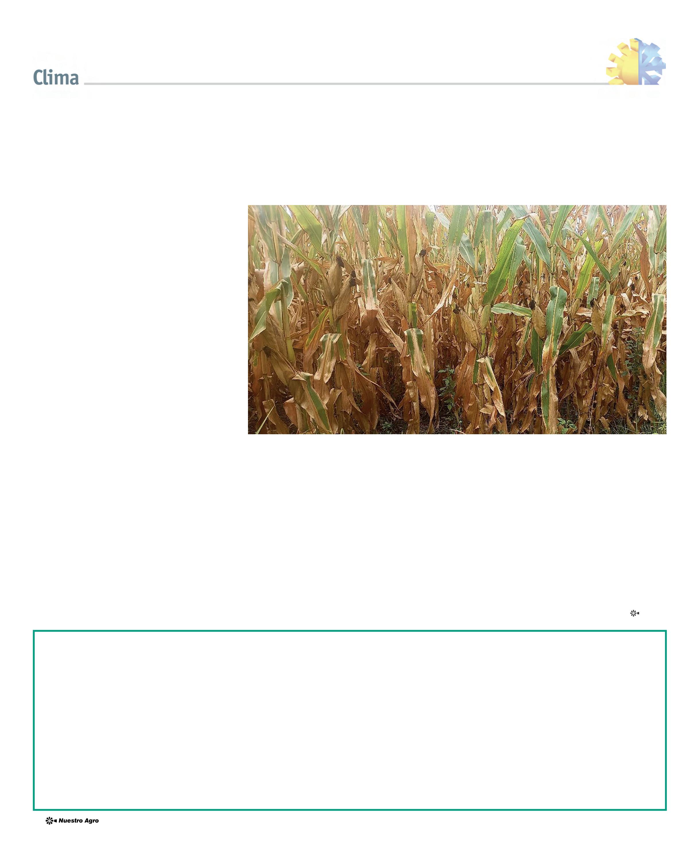 REVISTA NUESTRO AGRO FEBRERO 2026 N° 387 - página 30