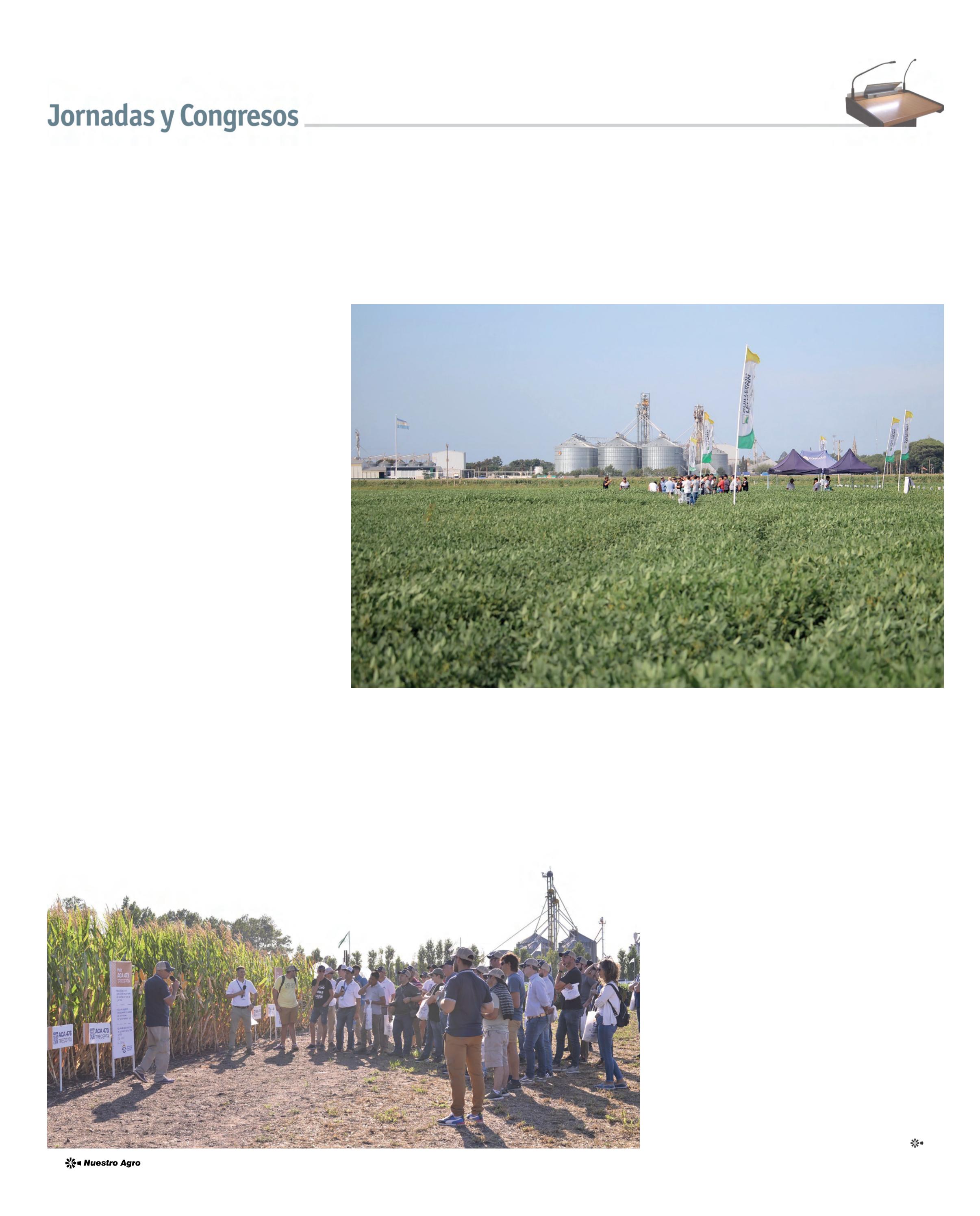 REVISTA NUESTRO AGRO MARZO 2026 N° 388 - página 12