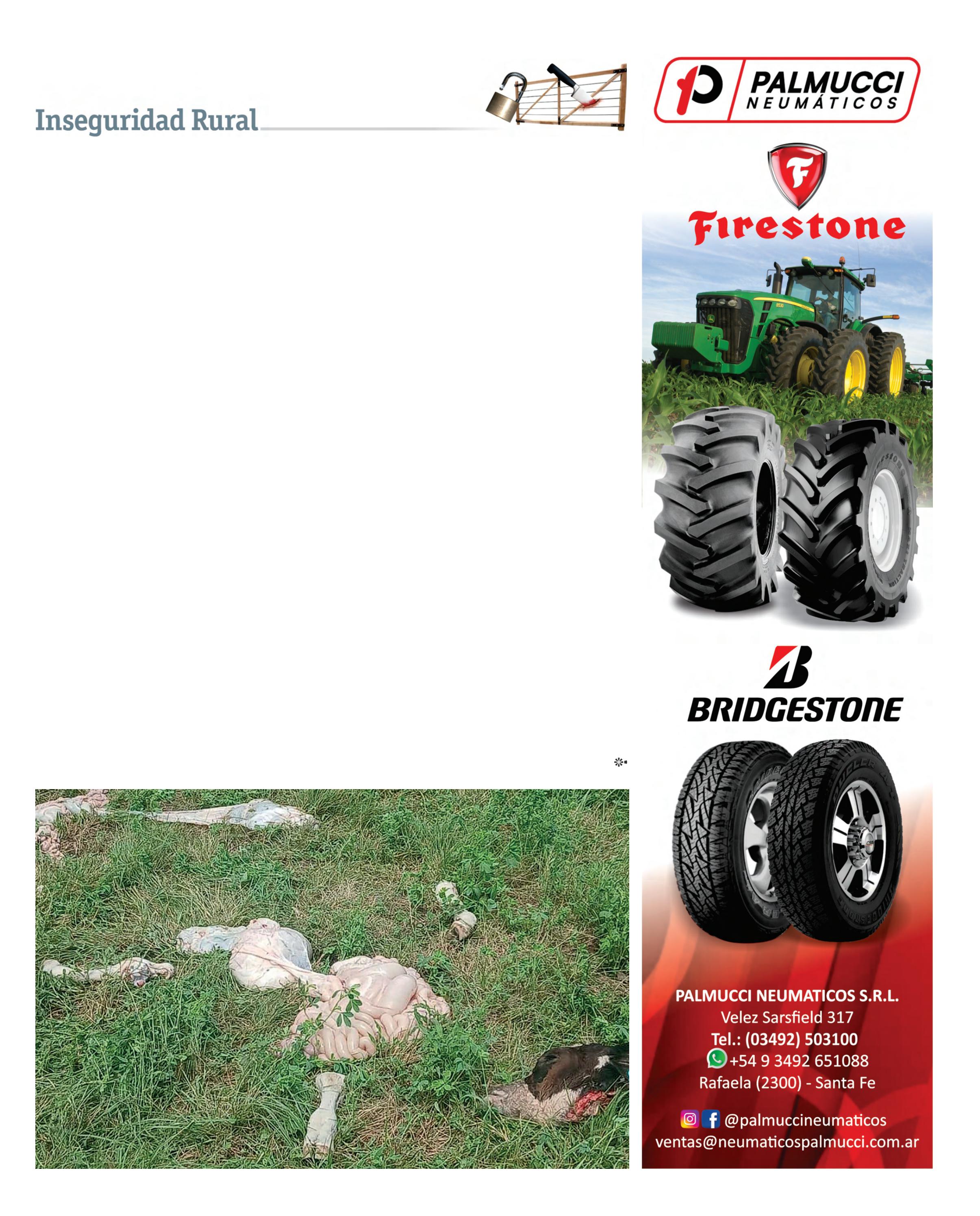 REVISTA NUESTRO AGRO MARZO 2026 N° 388 - página 13